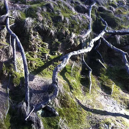 Bernstein Whg 32 Apartament Binz